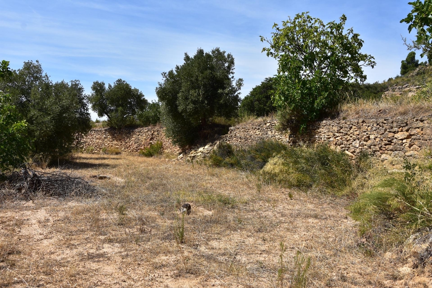  kaufen Landhaus Valdealgorfa Bajo Aragón 5