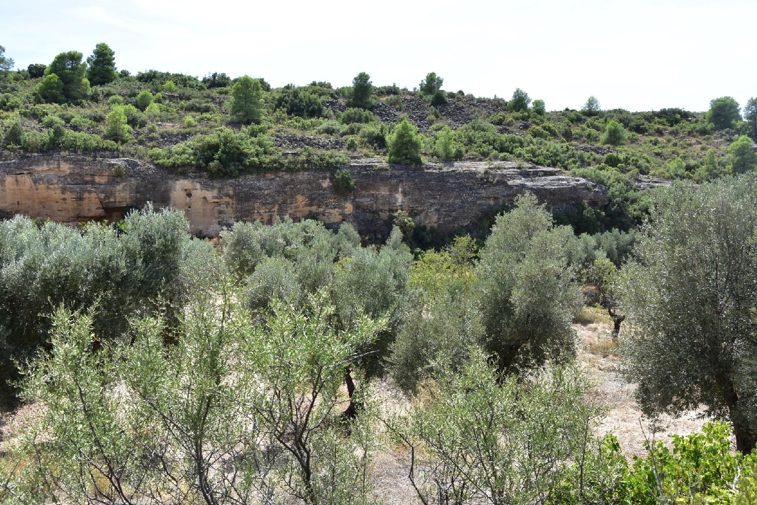  kaufen Landhaus Valdealgorfa Bajo Aragón 4