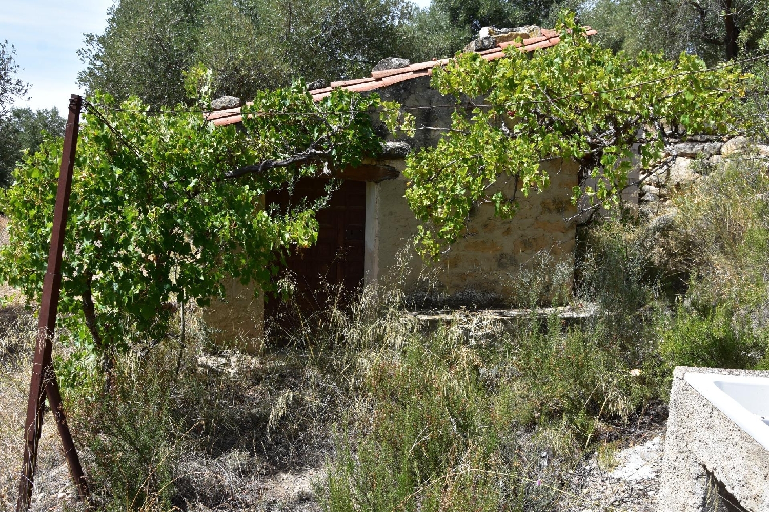  kaufen Landhaus Valdealgorfa Bajo Aragón 2