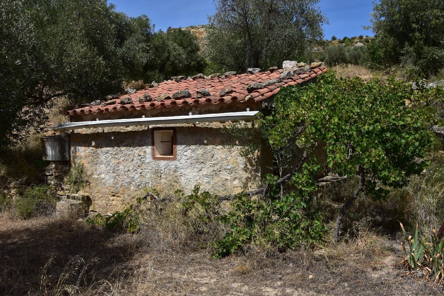  kaufen Landhaus Valdealgorfa Bajo Aragón 1
