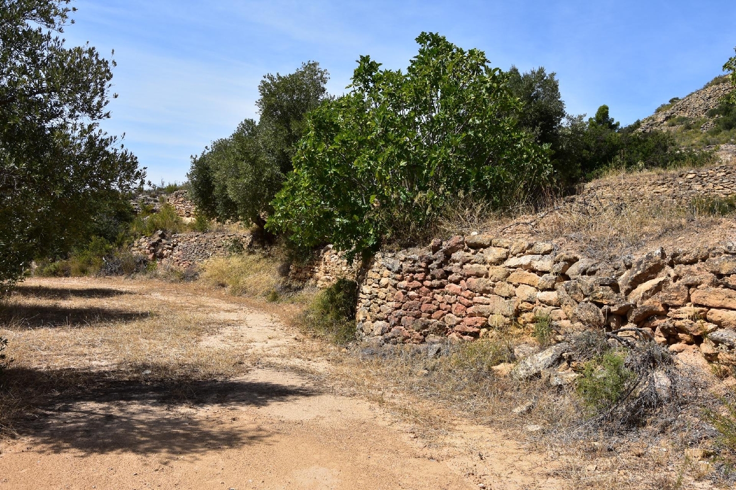  kaufen Landhaus Valdealgorfa Bajo Aragón 7