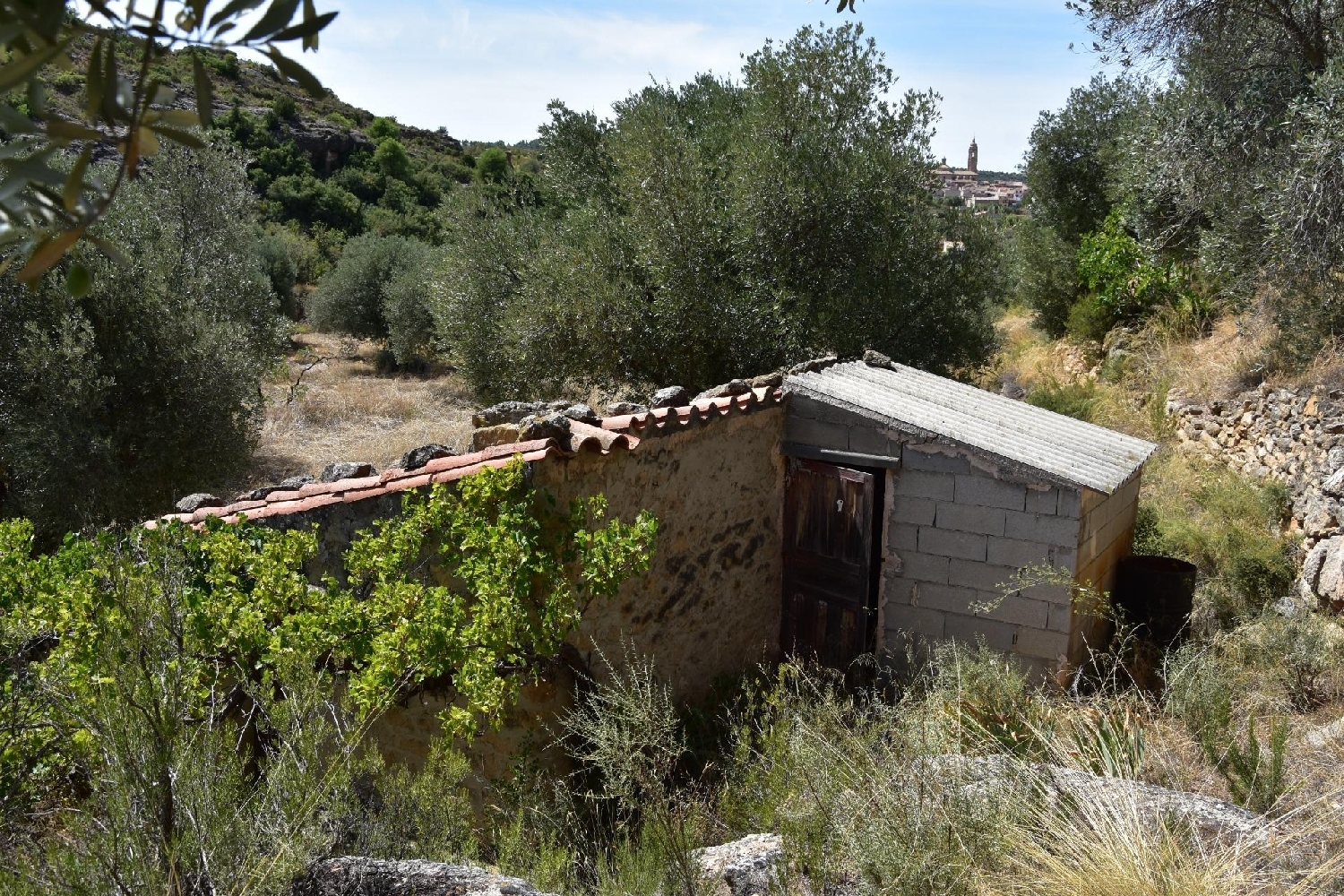  kaufen Landhaus Valdealgorfa Bajo Aragón 3