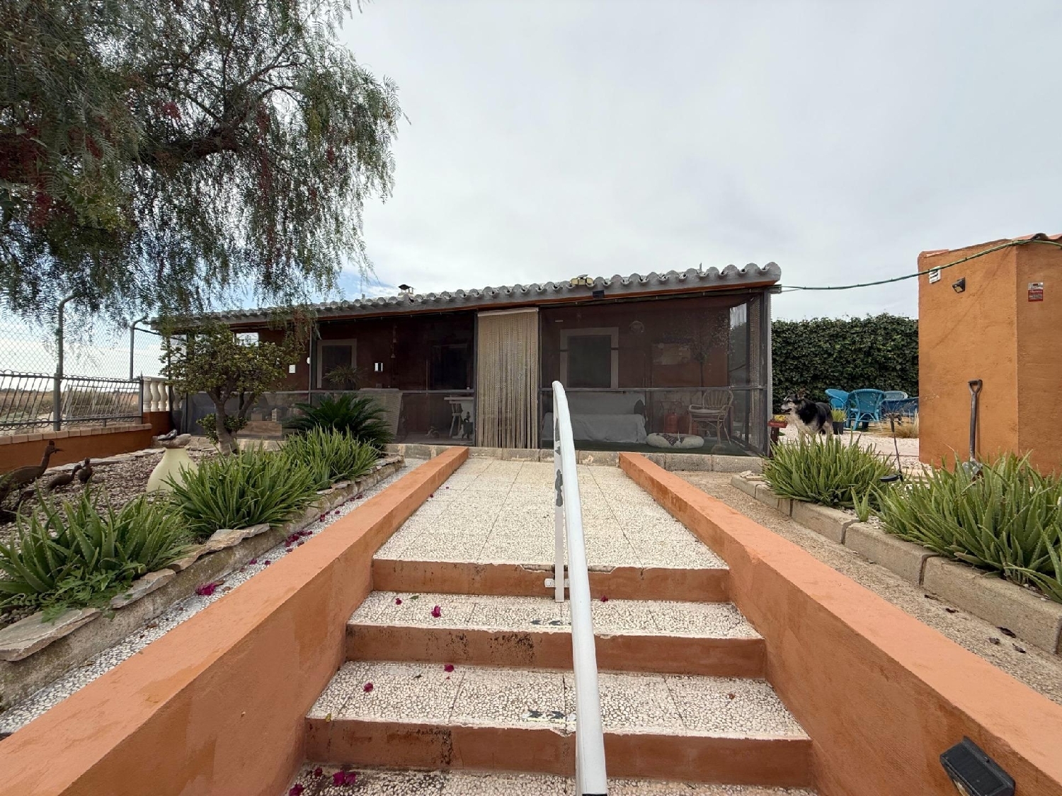  à vendre maison de campagne Valladolises Huerta De Murcia 2