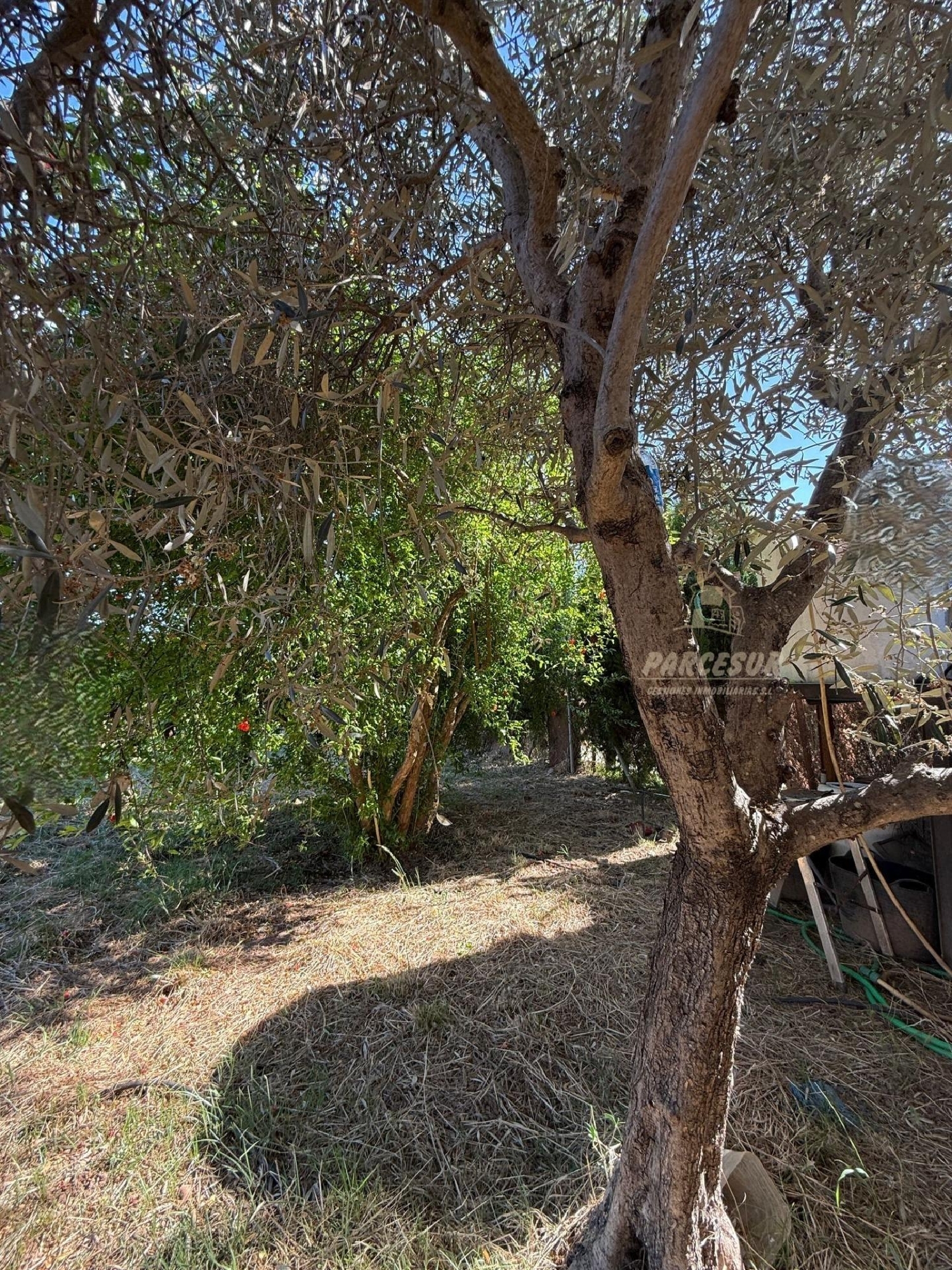  te koop boerderij Villafranca De Córdoba Alto Guadalquivir 8