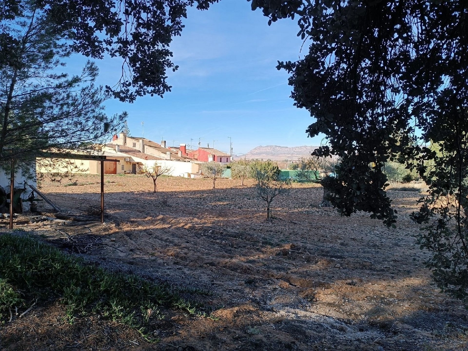  en venta finca rústica Yecla Altiplano 39