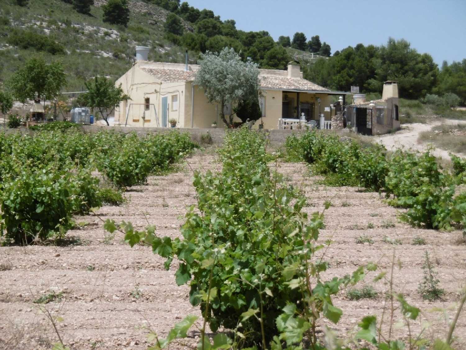  en venta finca rústica Yecla Altiplano 1