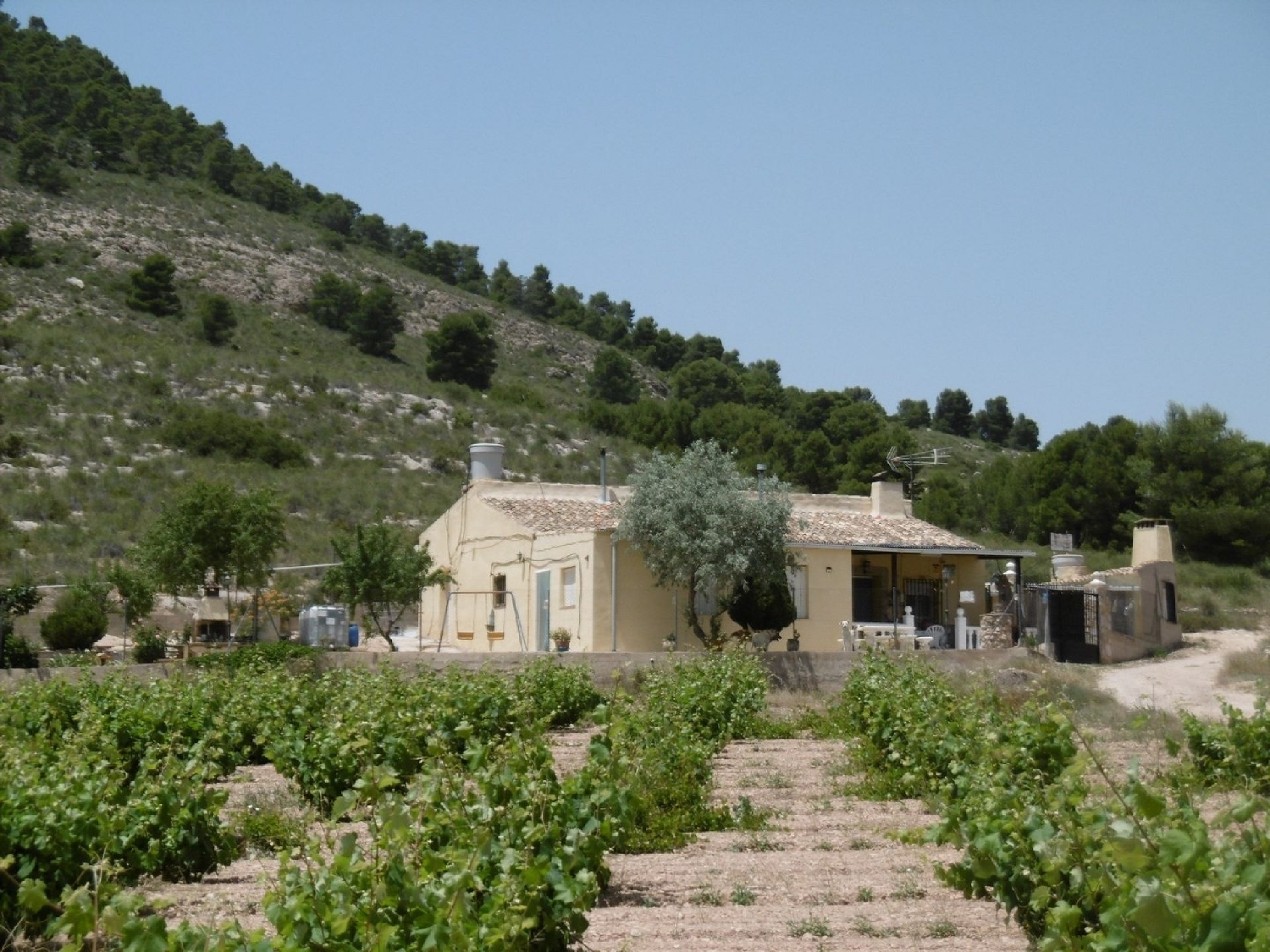  en venta finca rústica Yecla Altiplano 16