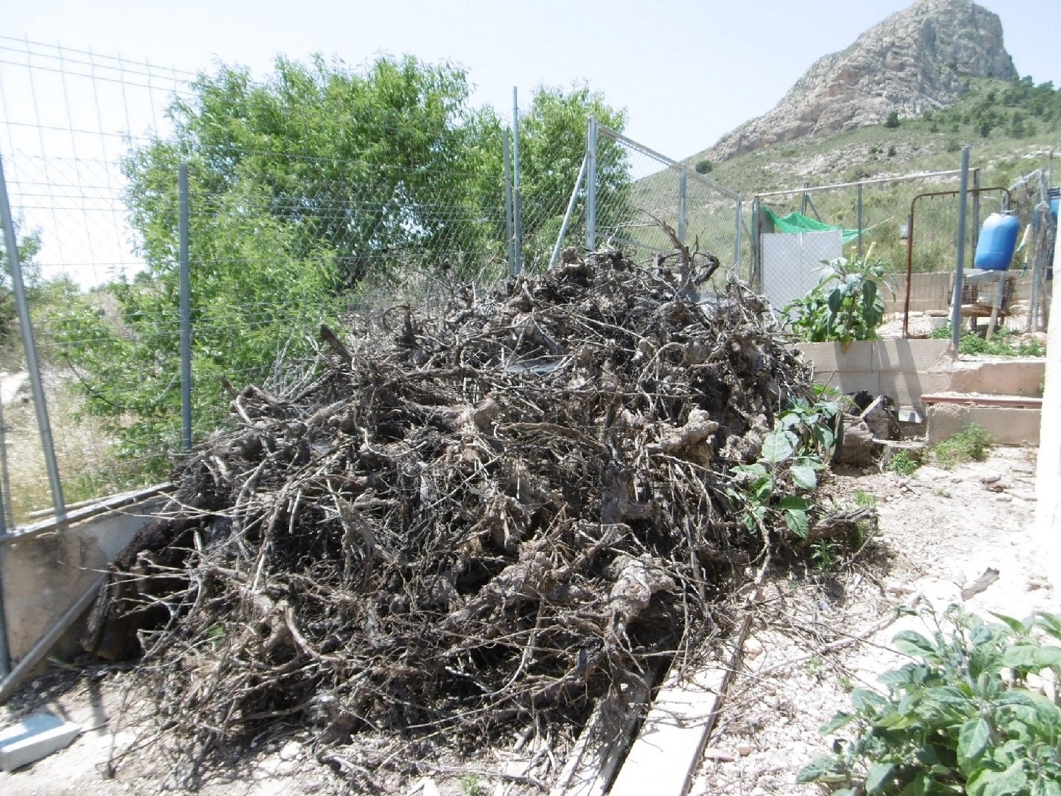  en venta finca rústica Yecla Altiplano 8