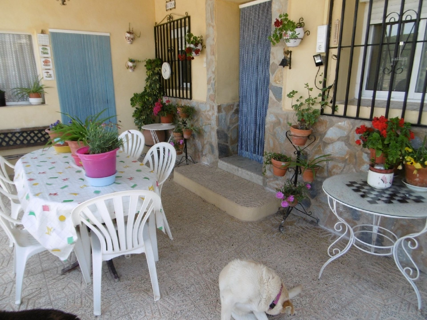  en venta finca rústica Yecla Altiplano 15