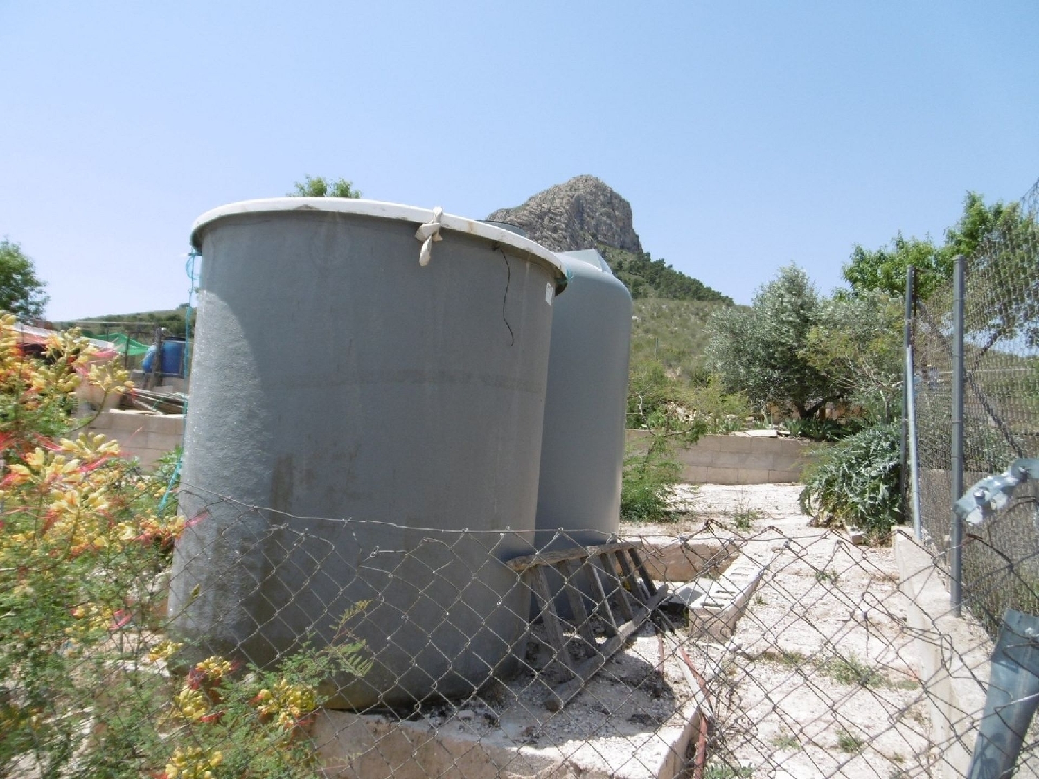  en venta finca rústica Yecla Altiplano 4