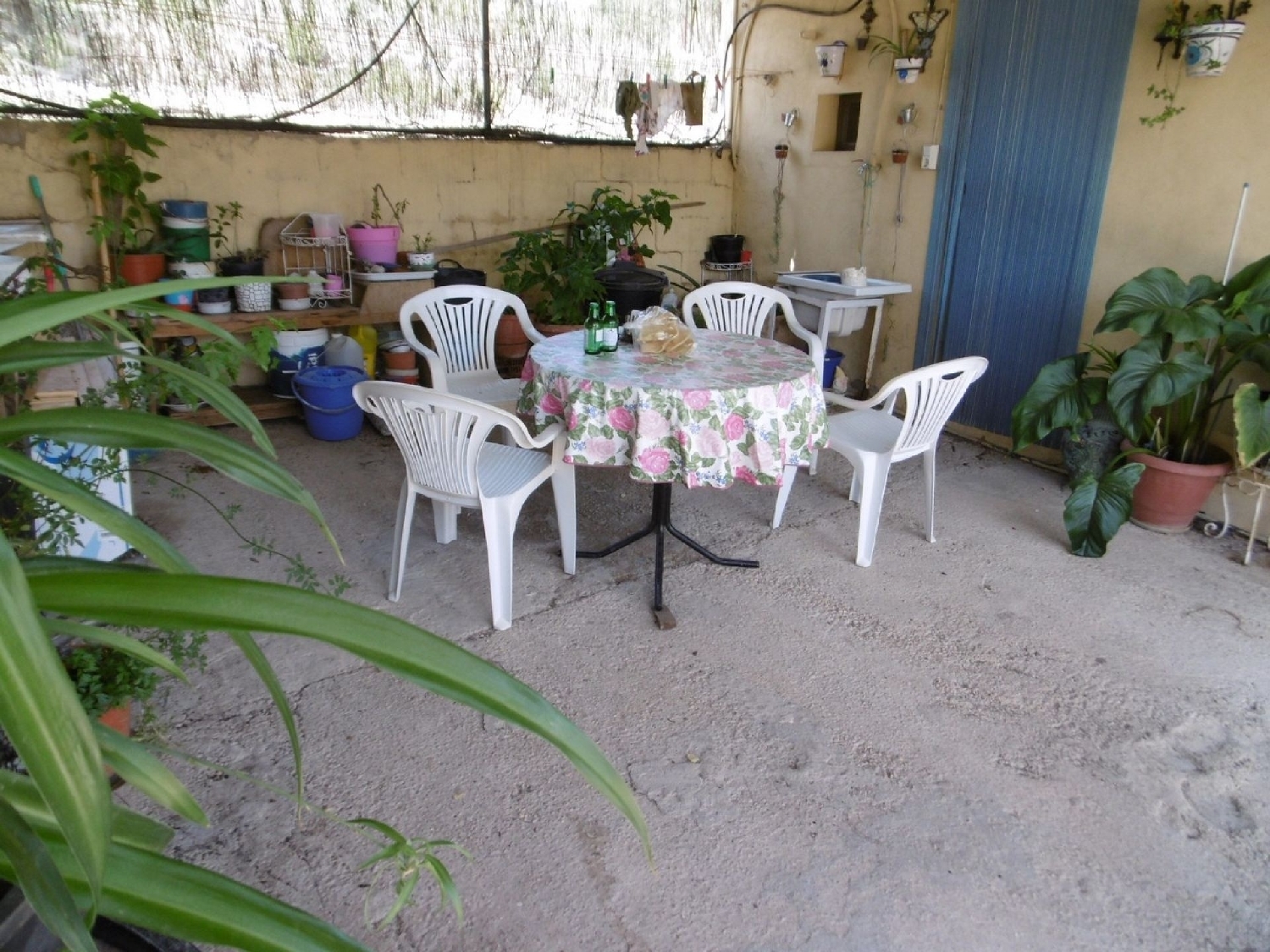  en venta finca rústica Yecla Altiplano 18