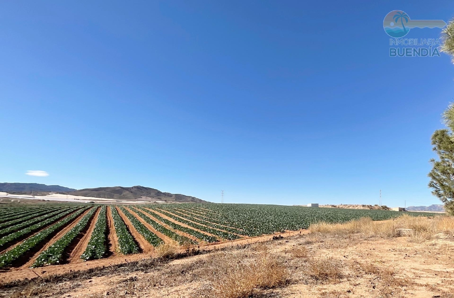  for sale country house Zarzadilla De Totana Alto Guadalentín 4