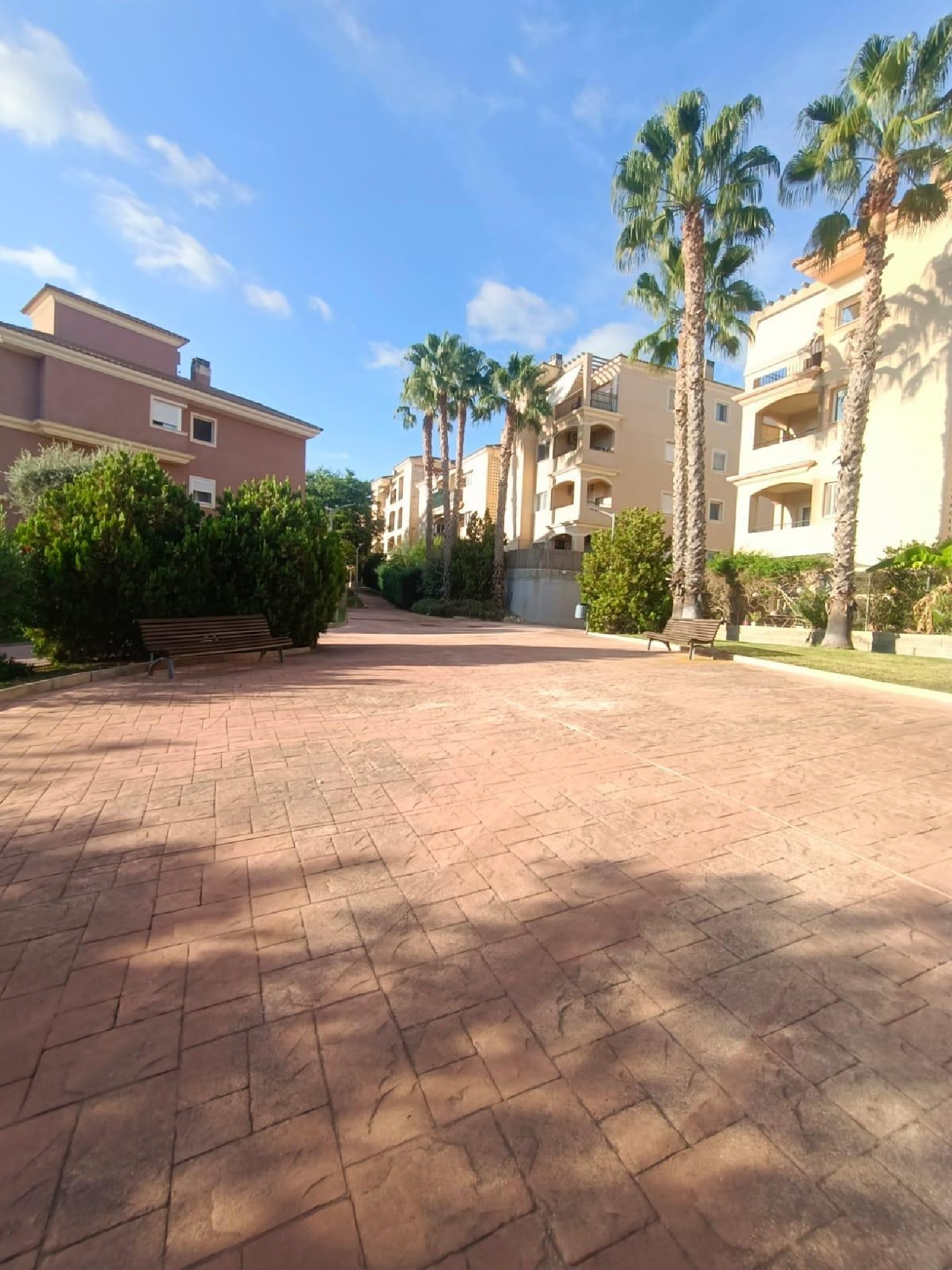  for sale ground floor Altorreal Vega Media Del Segura 3