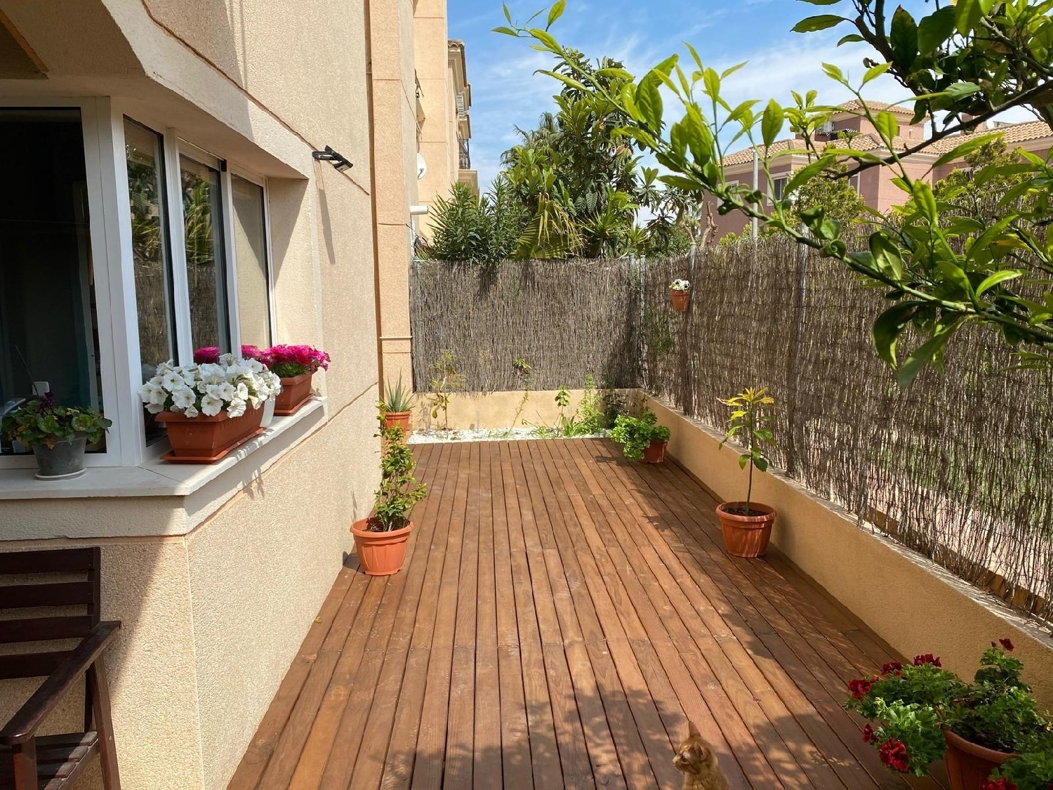  for sale ground floor Altorreal Vega Media Del Segura 8