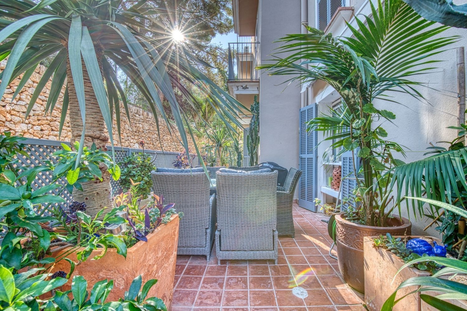  te koop benedenwoning Calvià Ponent 3