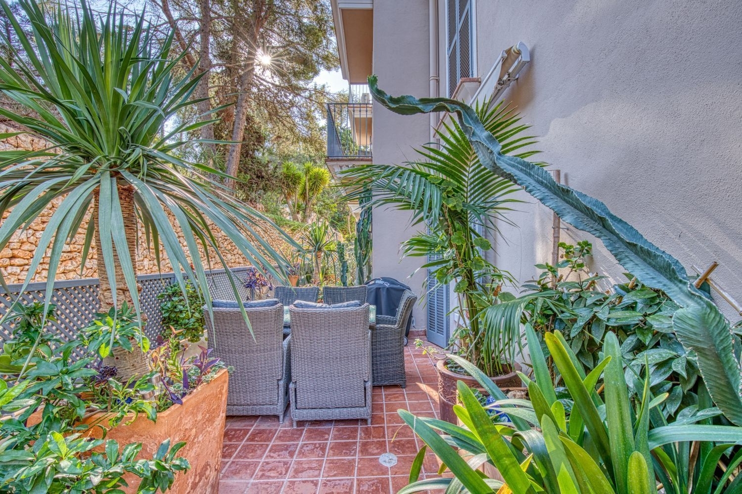  te koop benedenwoning Calvià Ponent 4