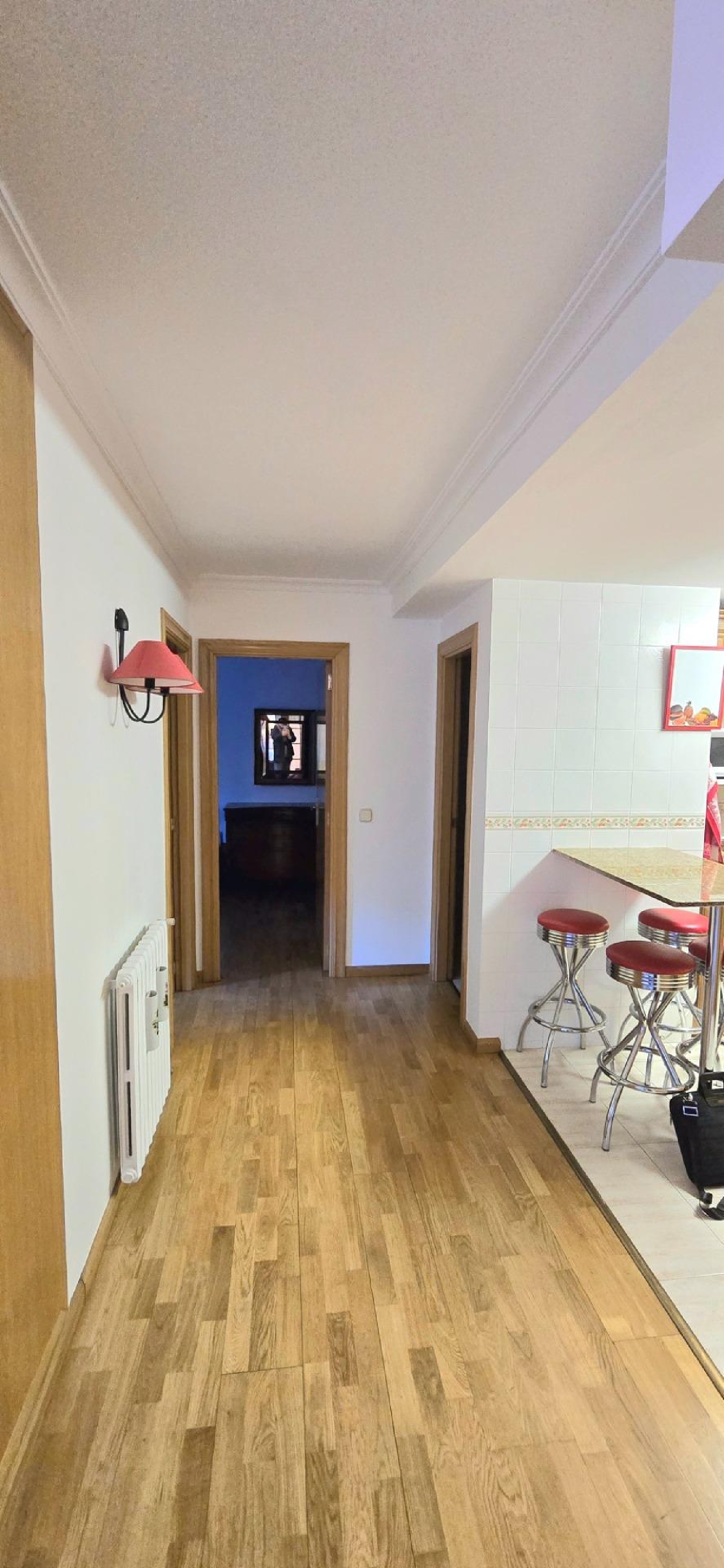  for sale ground floor La Massana La Massana 4