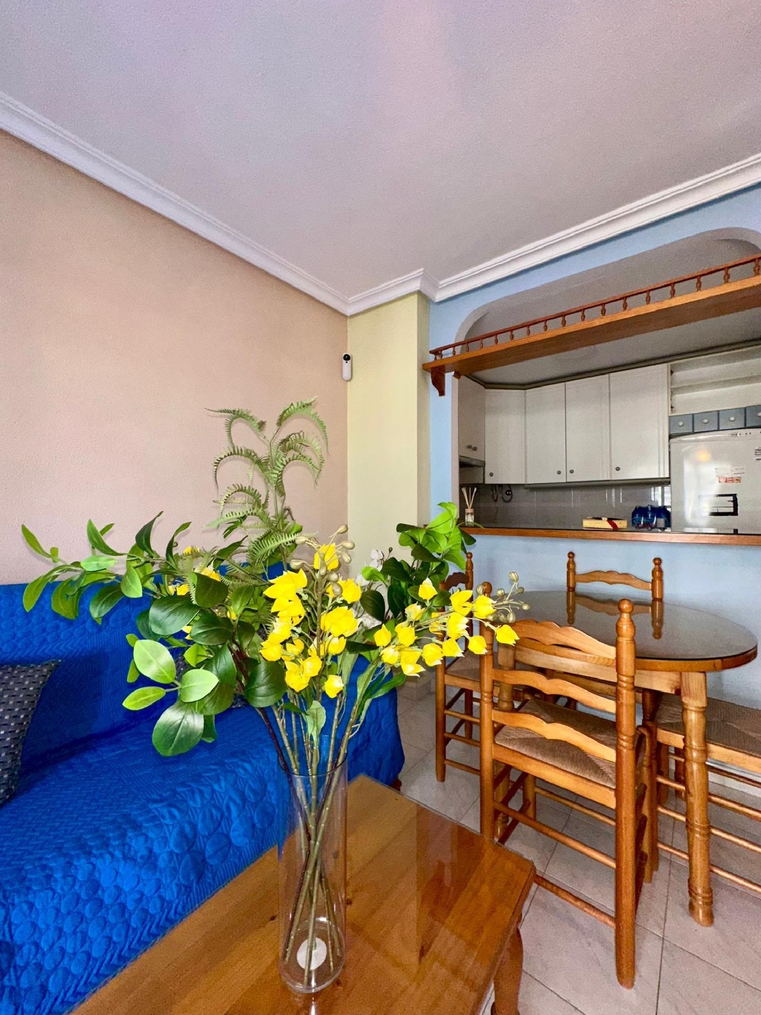  for sale ground floor Torrevieja Baix Segura 6