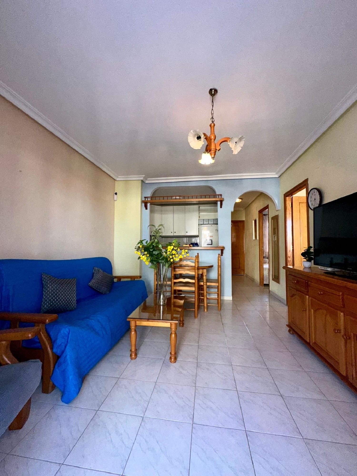  for sale ground floor Torrevieja Baix Segura 4