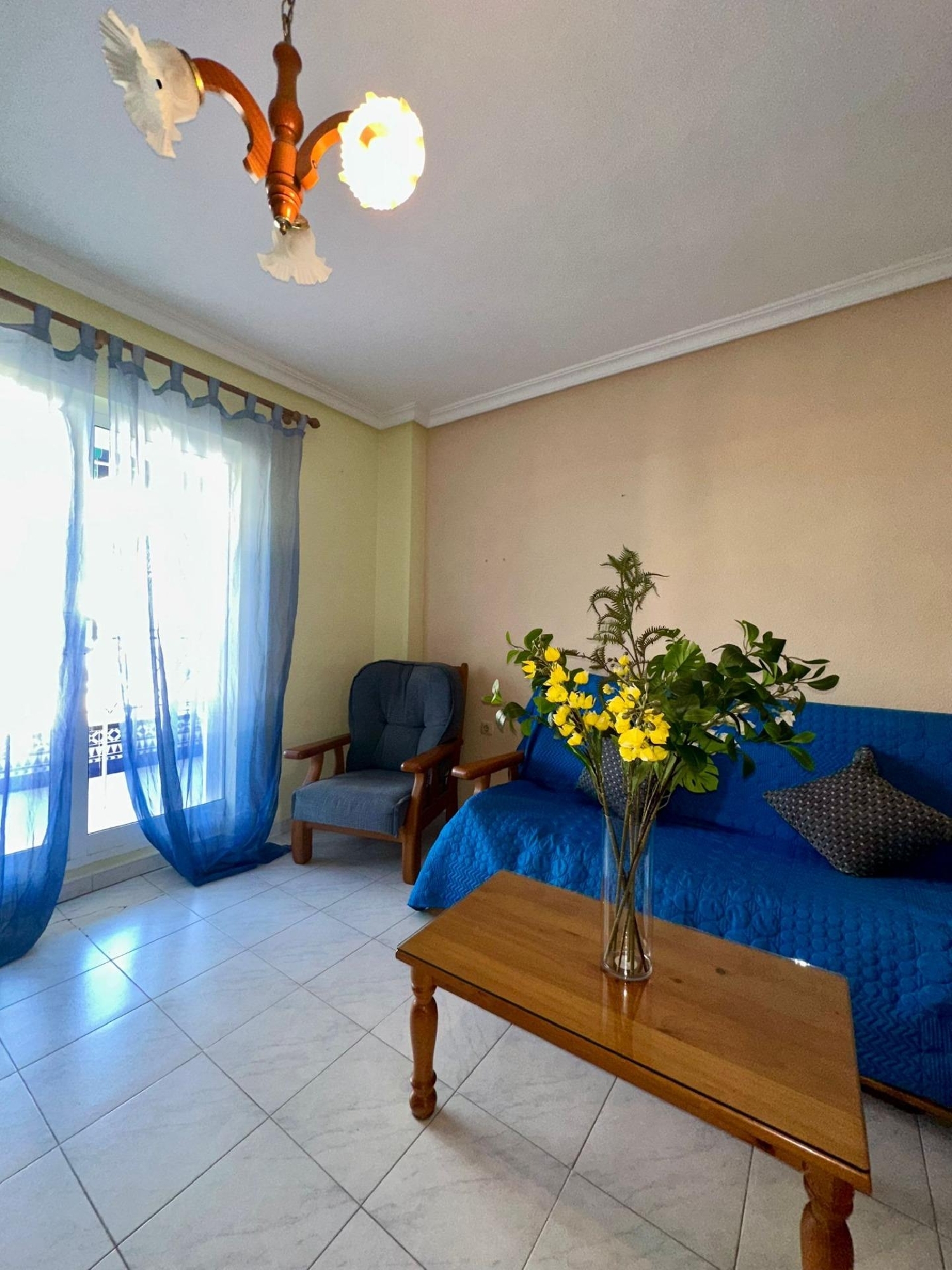  for sale ground floor Torrevieja Baix Segura 5