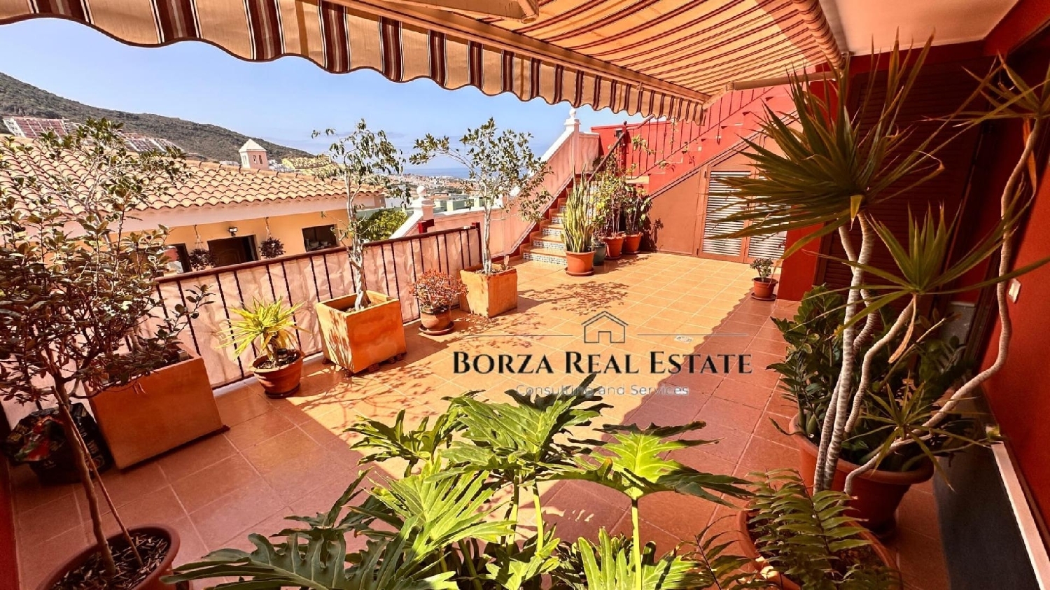 kaufen Haus Adeje Zona Sur 6