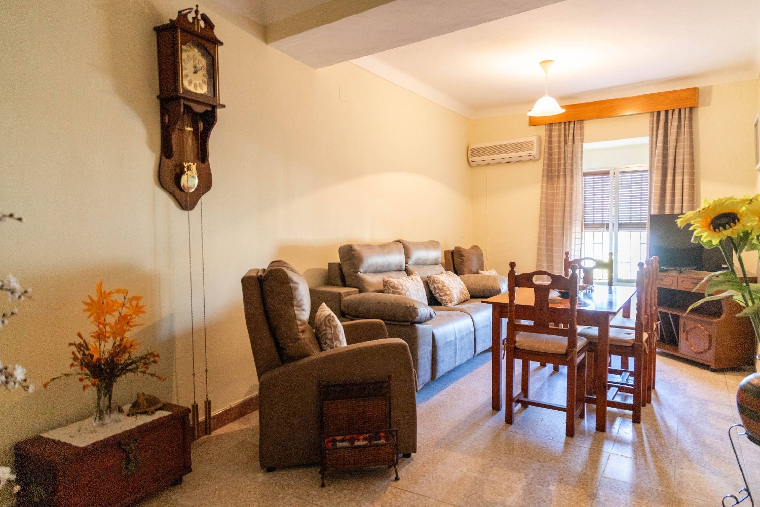  te koop huis Alameda Antequera 7