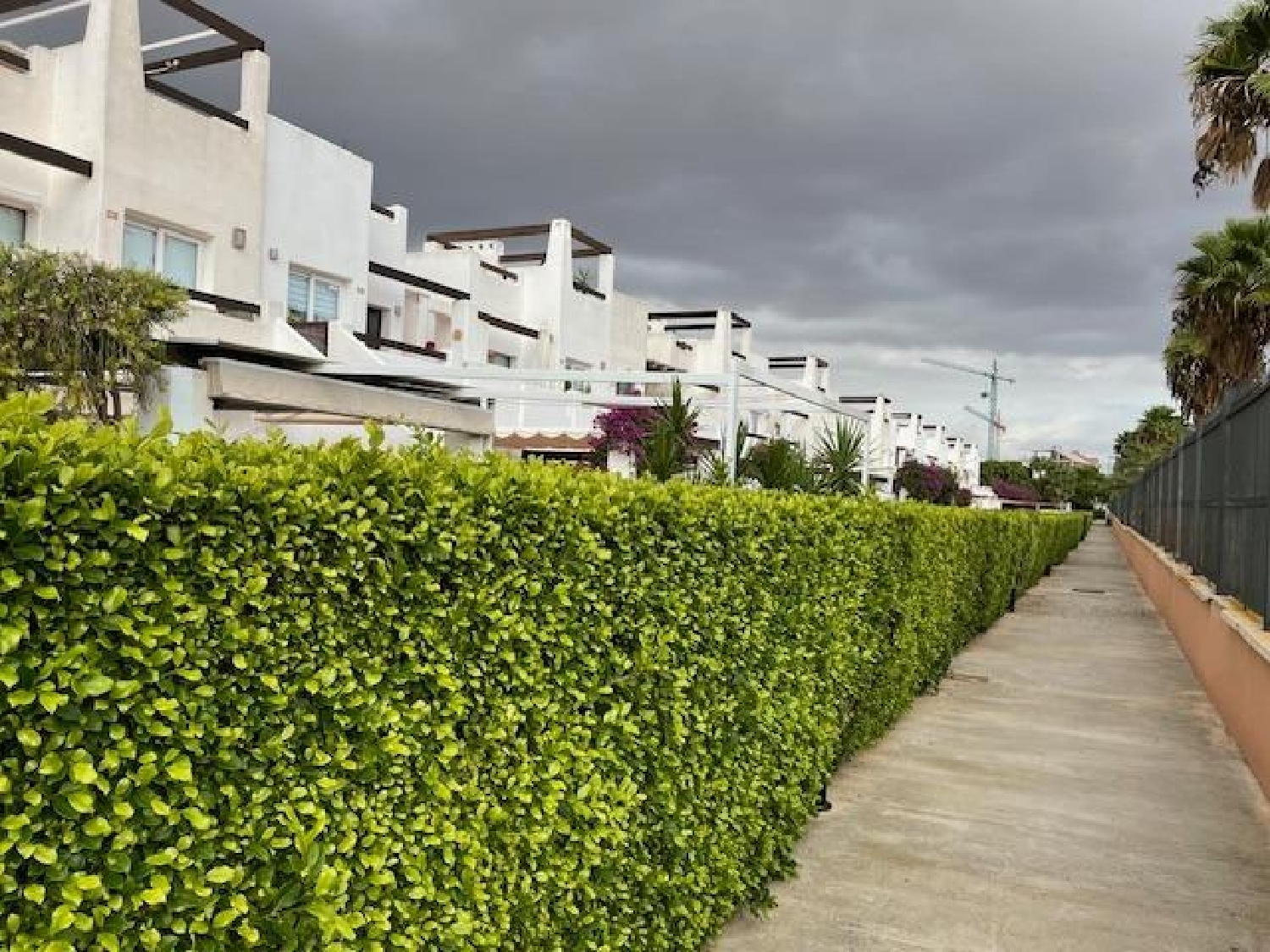  kaufen Haus Alhama De Murcia Bajo Guadalentín 4