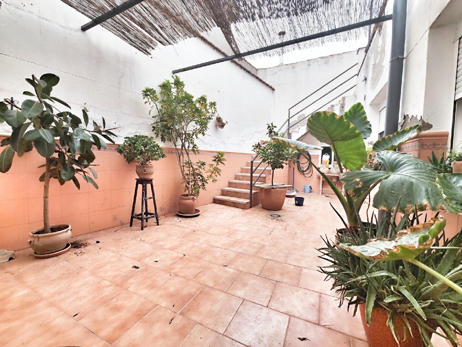  for sale house Argamasilla De Calatrava Campo De Calatrava 1