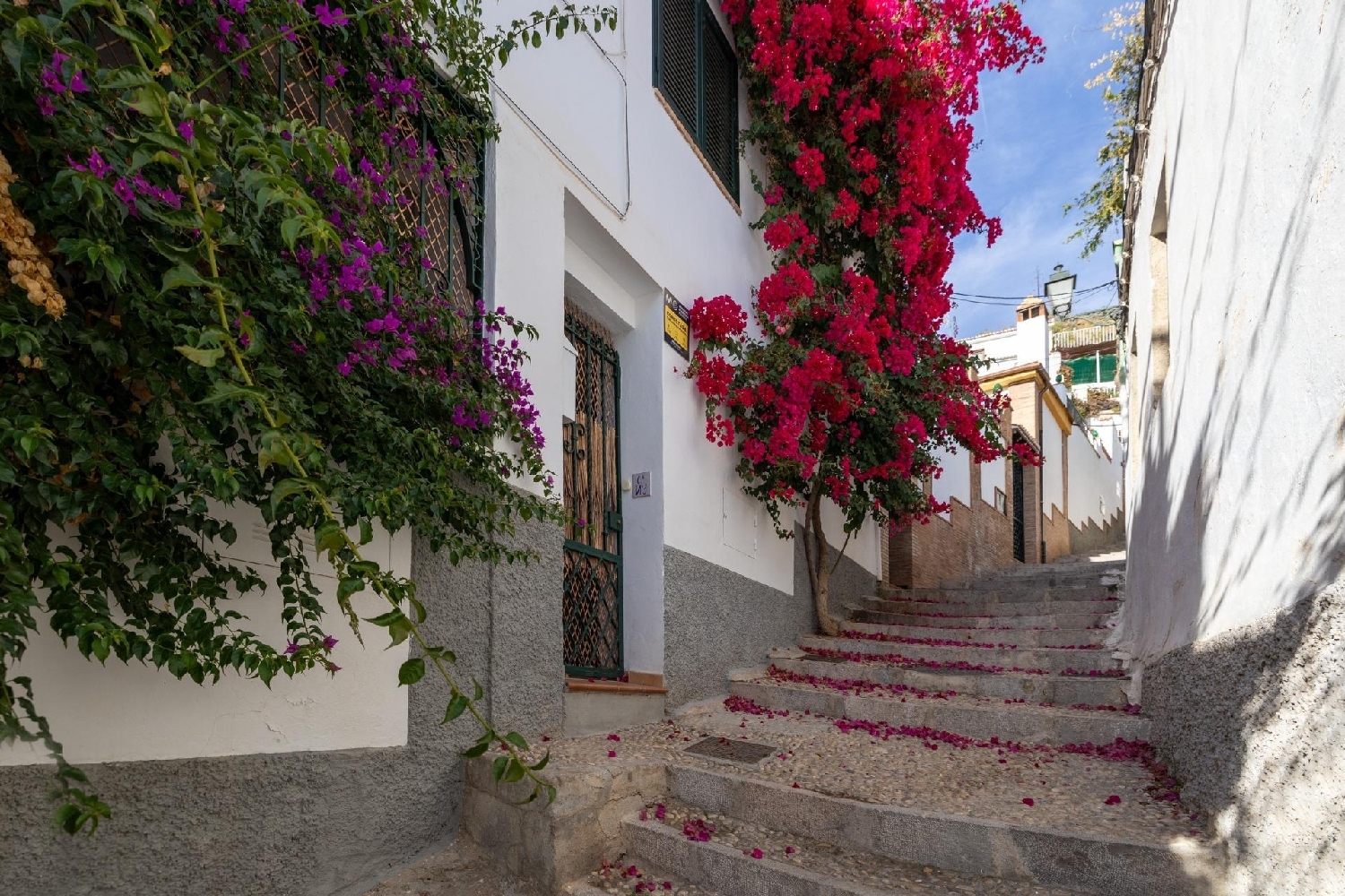 à vendre maison Barrio De Granada Alacantí 3