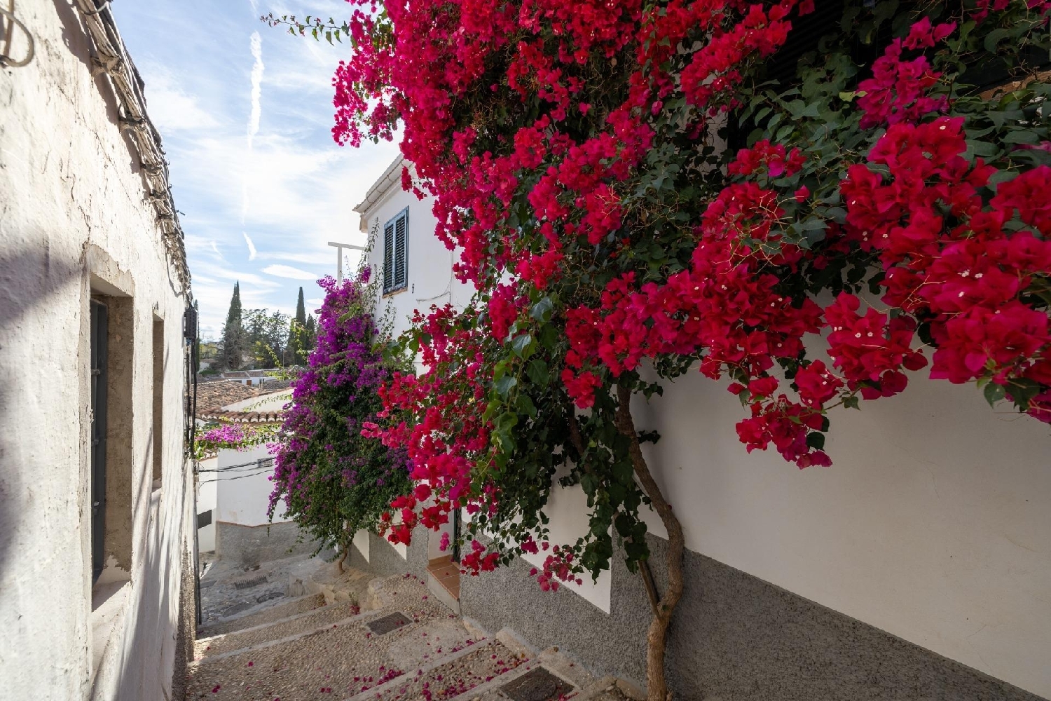 à vendre maison Barrio De Granada Alacantí 4