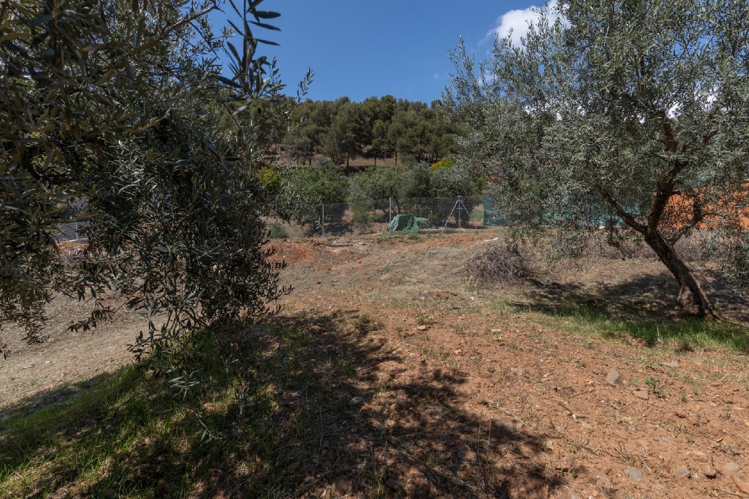 till salu hus Barrio De Granada Alacantí 7