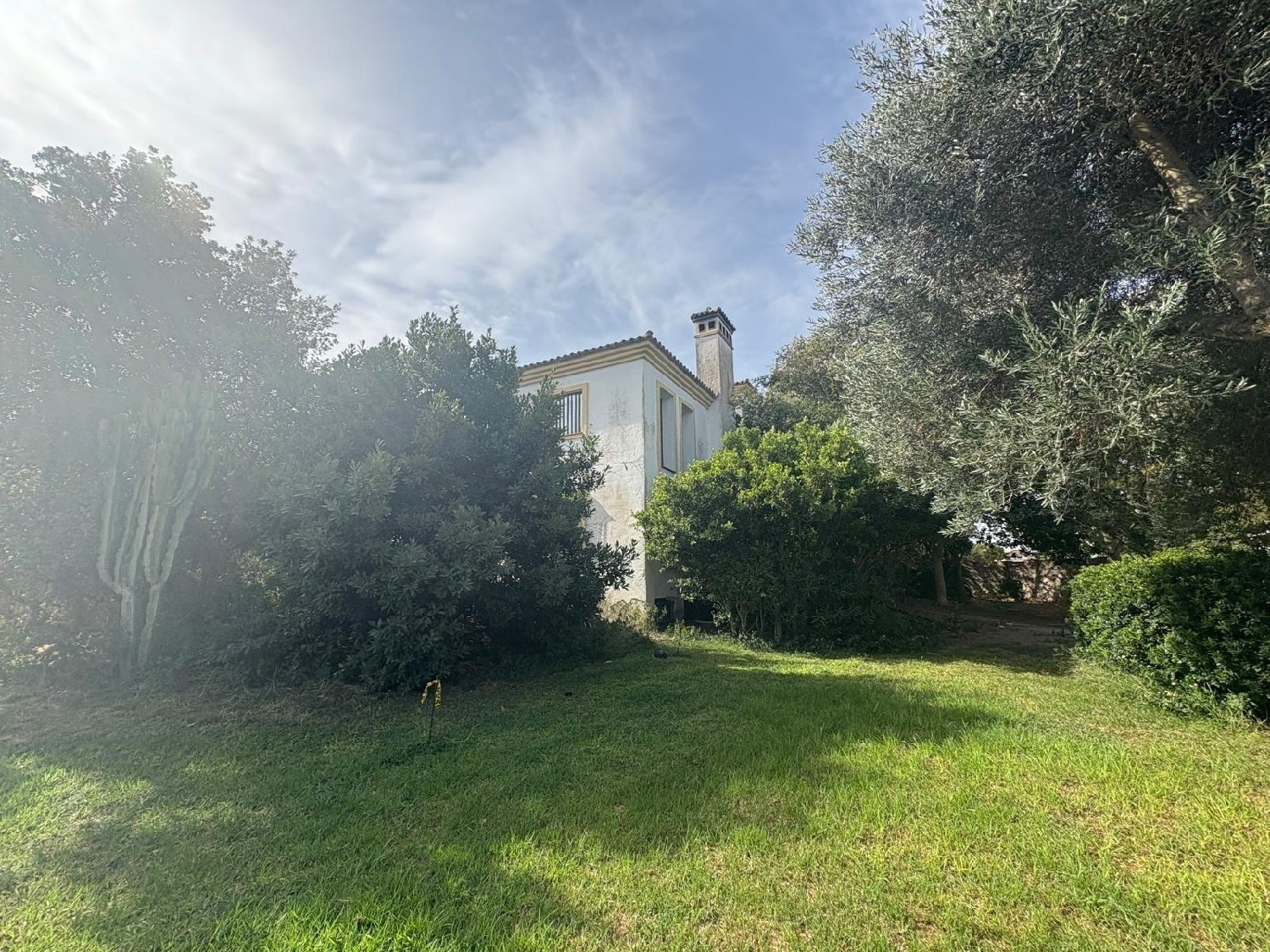 kaufen Haus Benalup-Casas Viejas Janda (La) 7