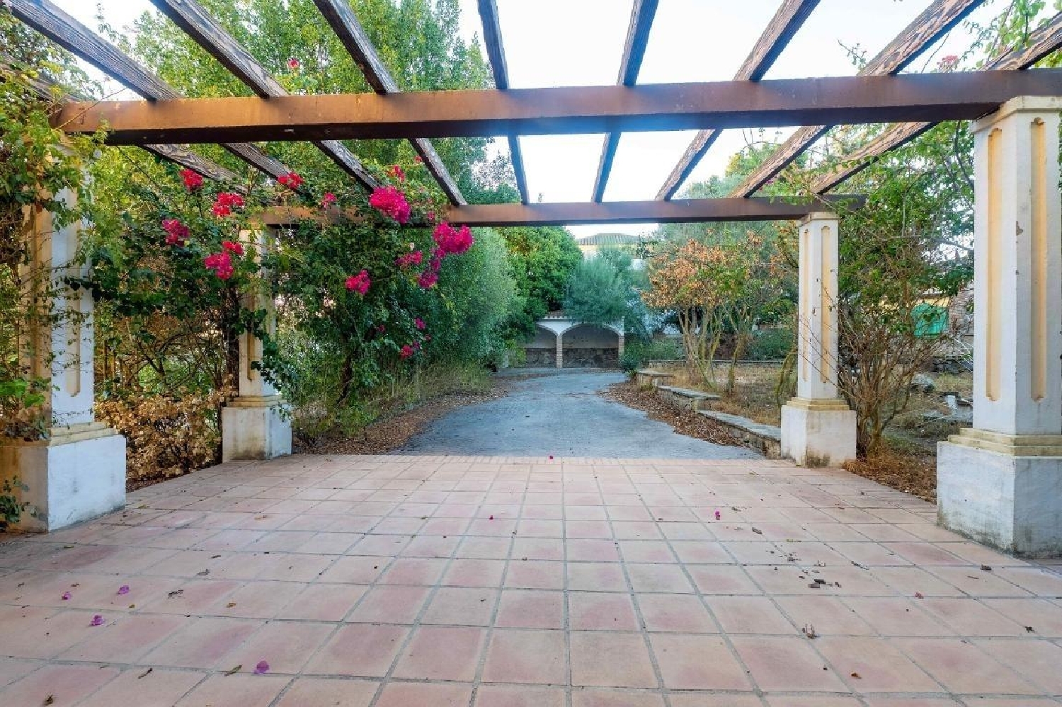 kaufen Haus Benalup-Casas Viejas Janda (La) 2