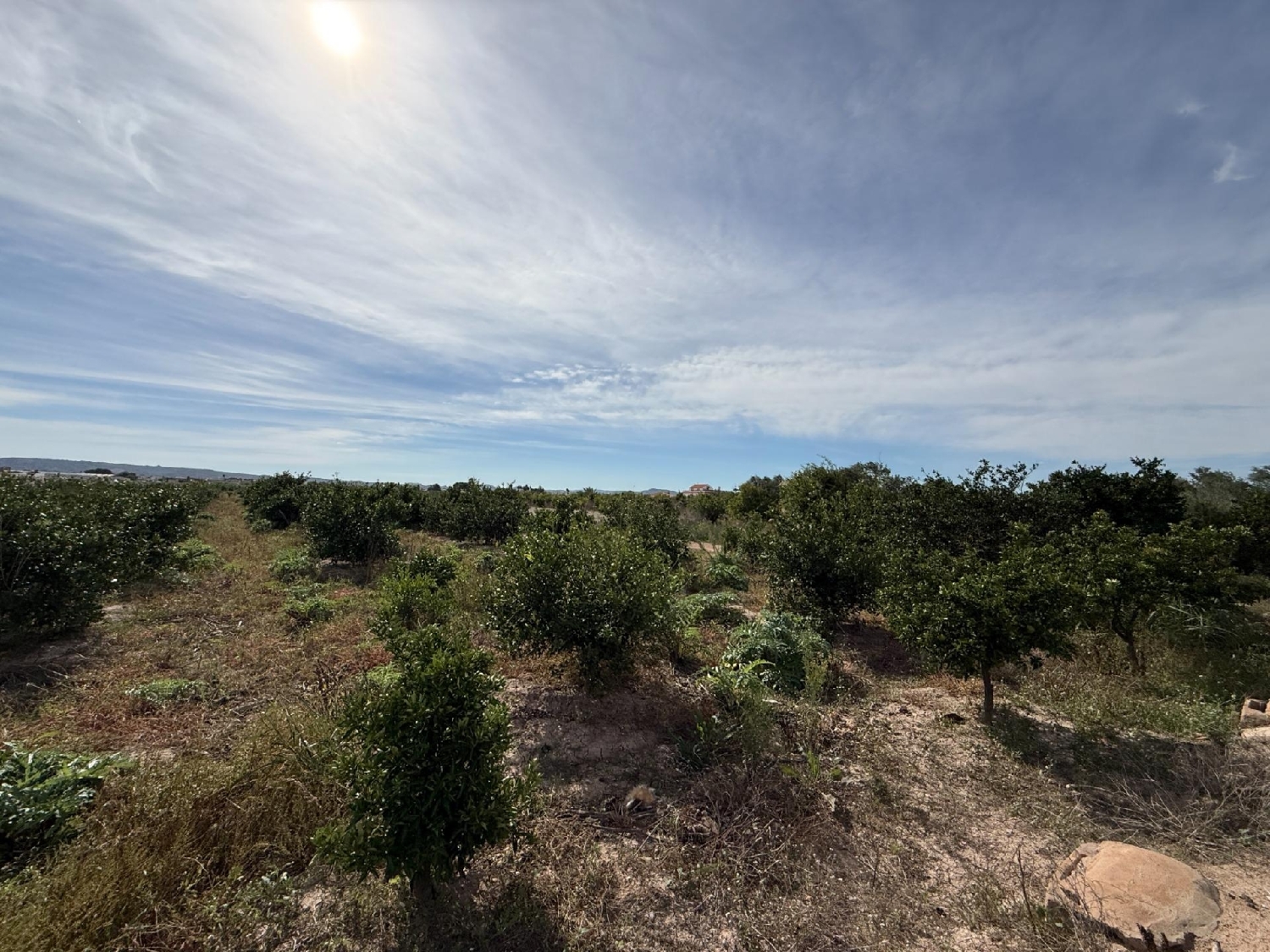  en venta casa Callosa De Segura Baix Segura 4