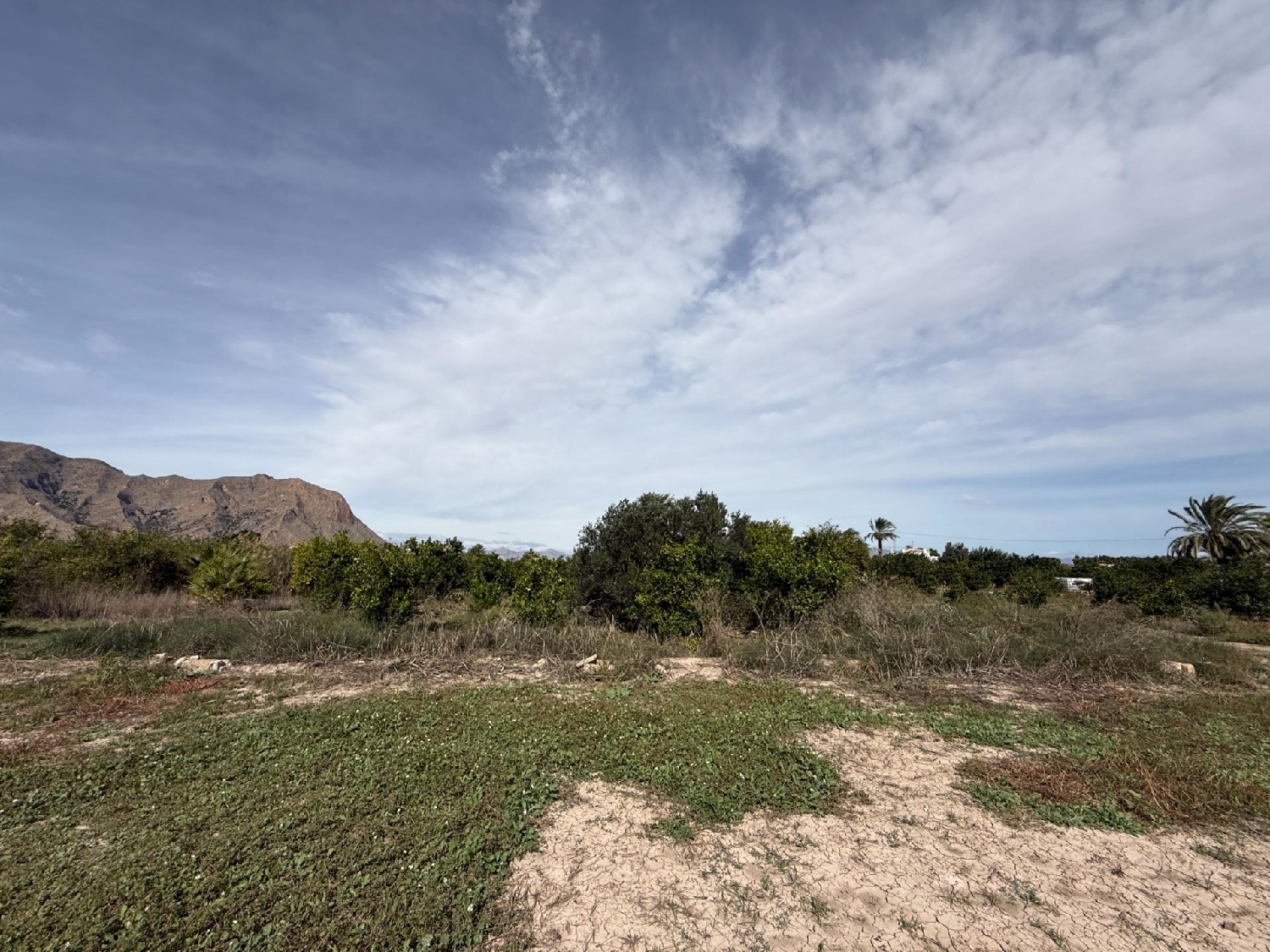  en venta casa Callosa De Segura Baix Segura 6