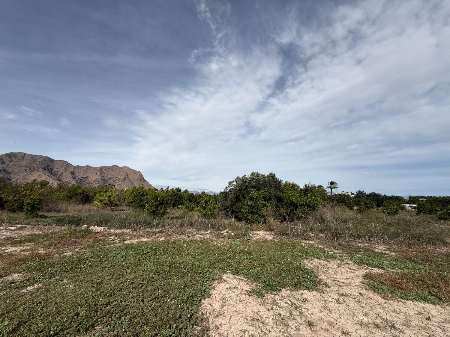  en venta casa Callosa De Segura Baix Segura 7