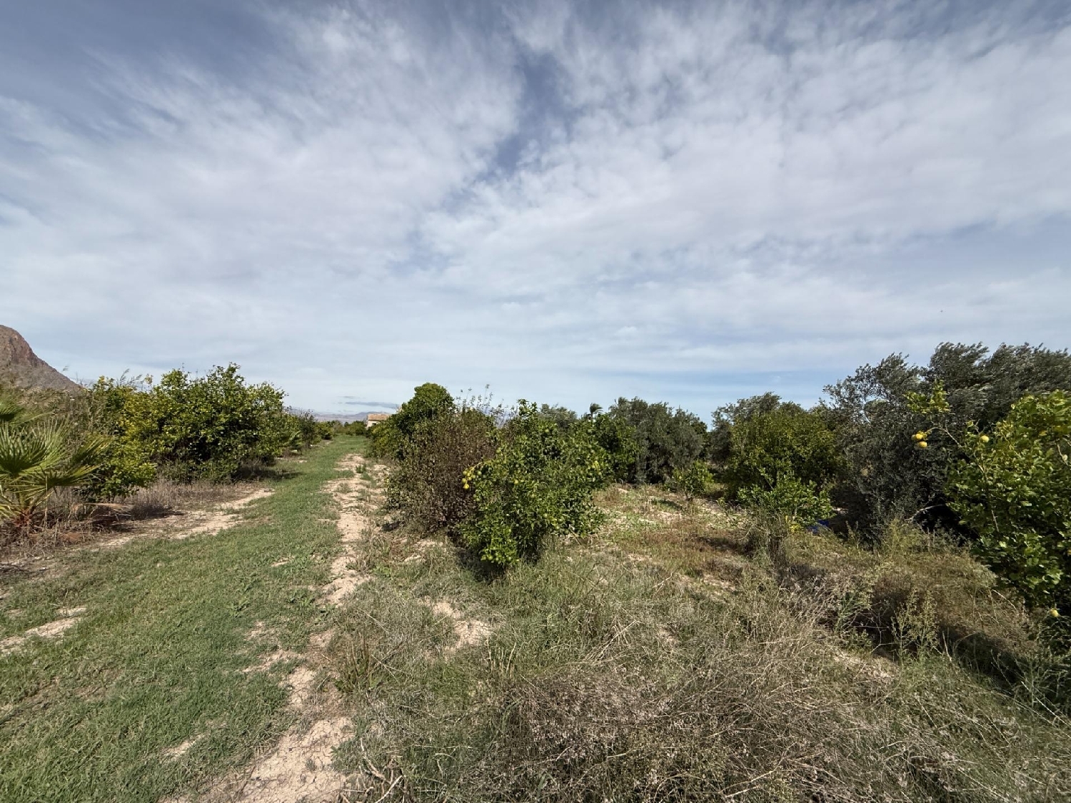  en venta casa Callosa De Segura Baix Segura 8