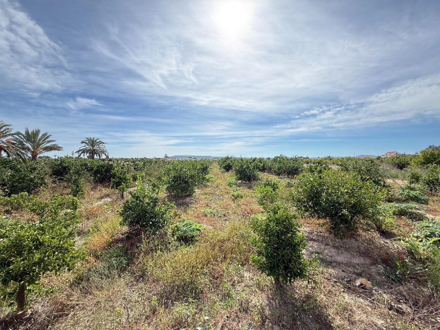  en venta casa Callosa De Segura Baix Segura 3