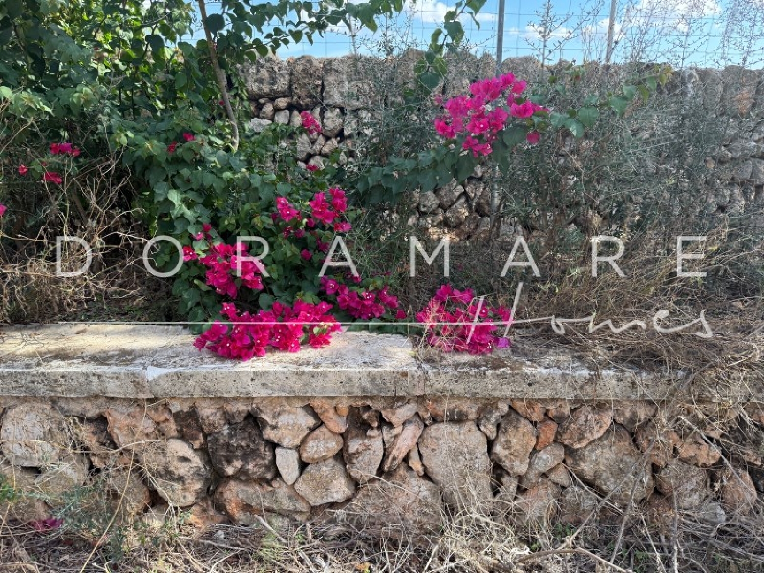  for sale house Campos Sud 1