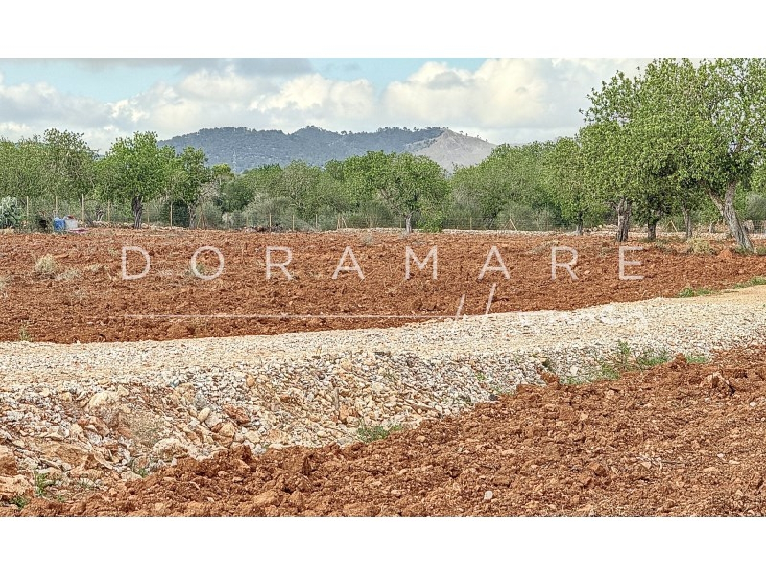  for sale house Campos Sud 4