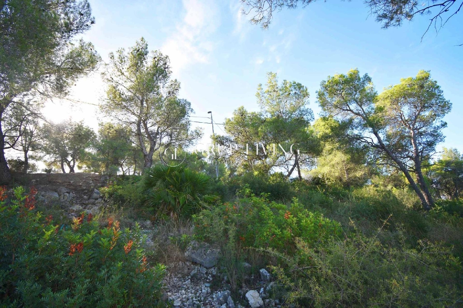  à vendre maison Canyelles Garraf 6