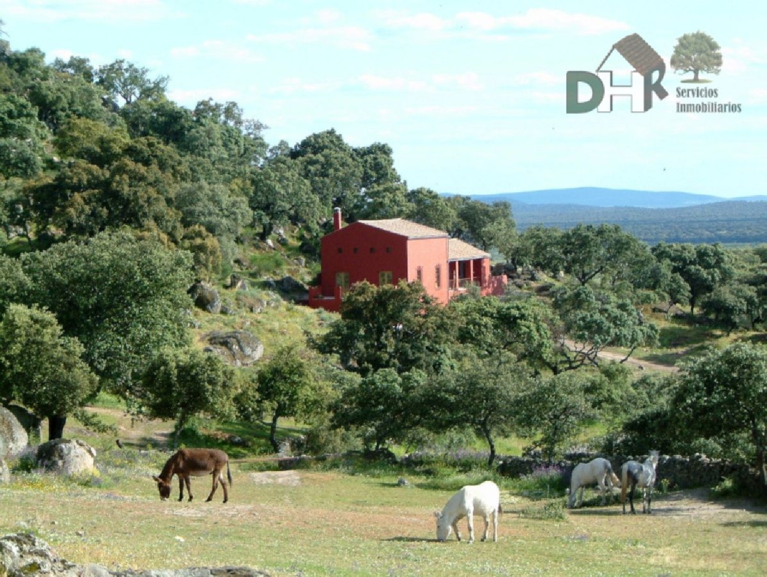  en venta casa Casar De Cáceres Tajo-Salor 8