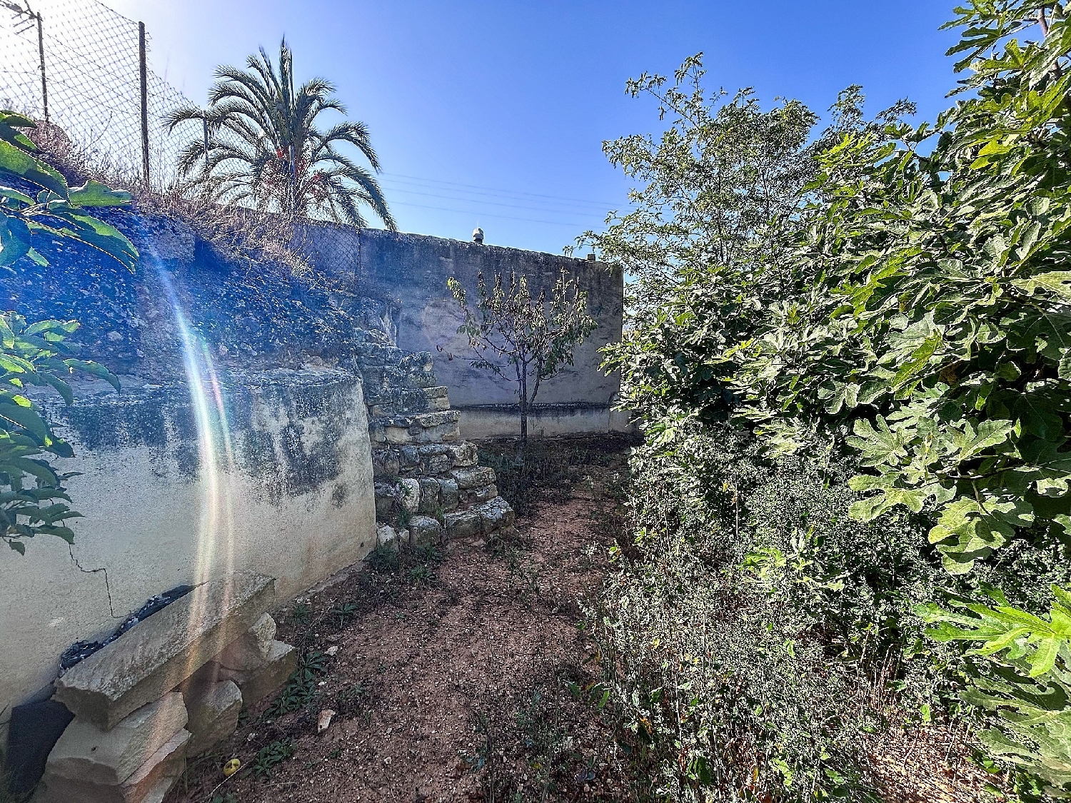  kaufen Haus Casas Del Señor Vinalopó Mitjà 7
