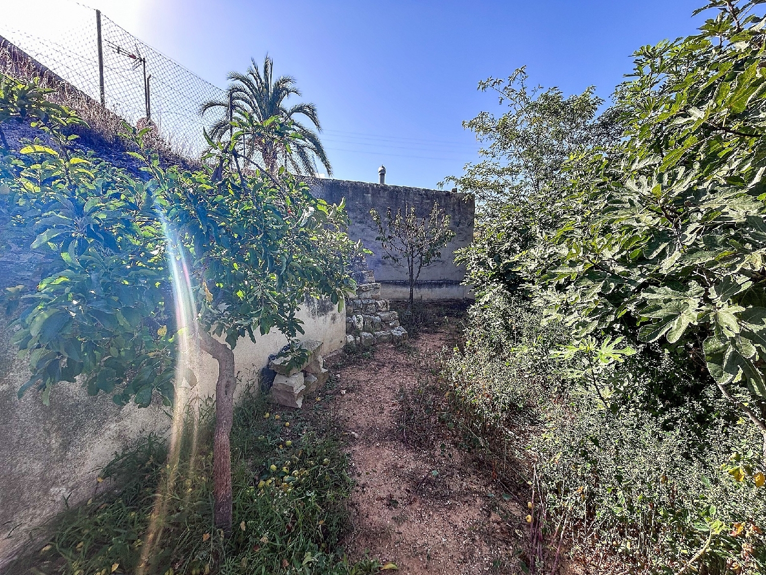  kaufen Haus Casas Del Señor Vinalopó Mitjà 6
