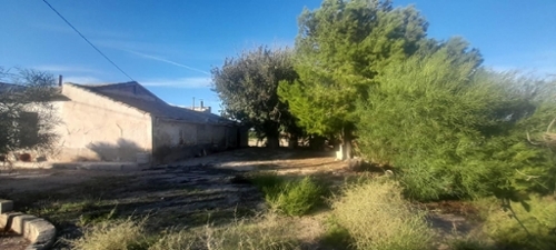 Catral Baix Segura maison foto 6317565
