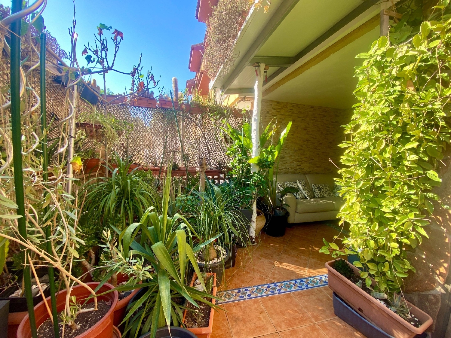  for sale house El Palmar Janda (La) 3