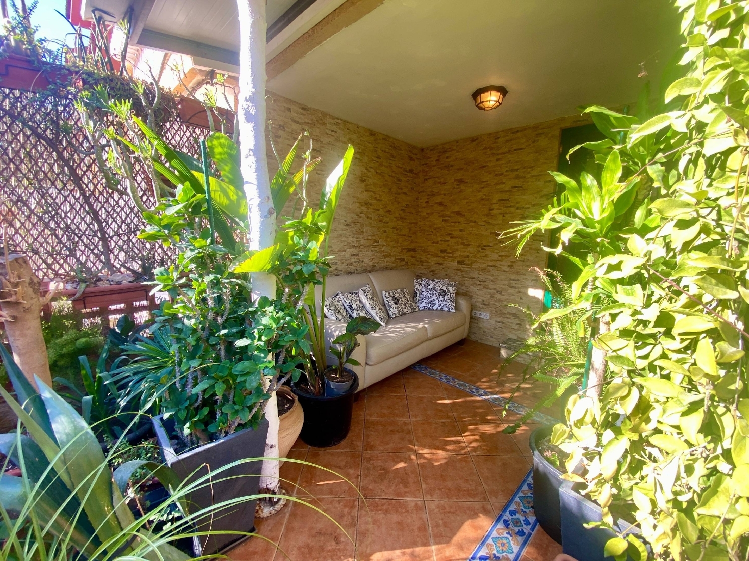 for sale house El Palmar Janda (La) 2
