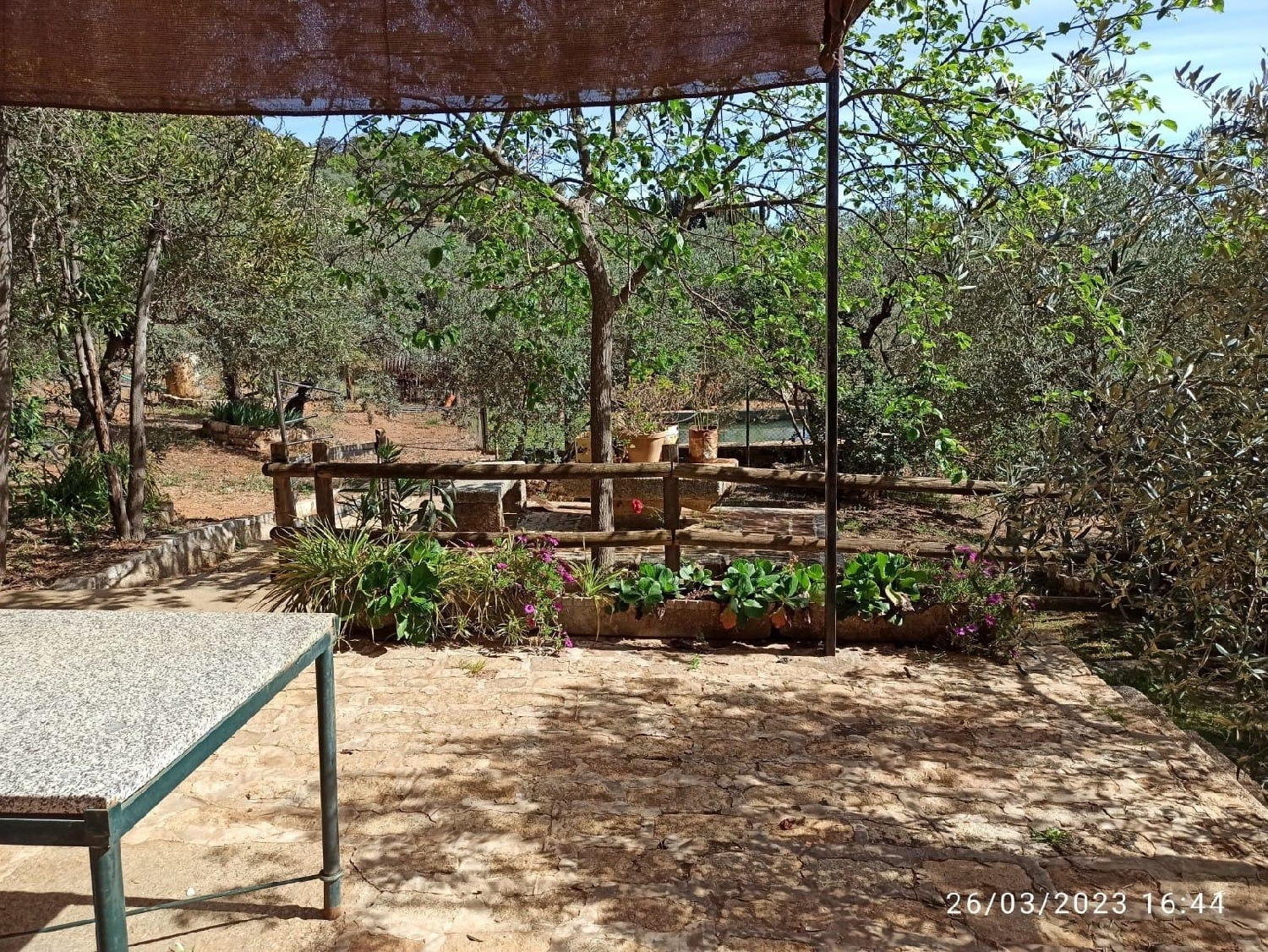  for sale house El Pedroso Sierra Norte 3