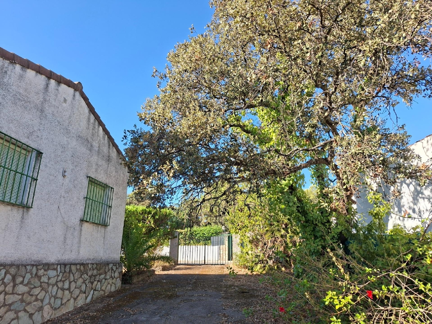  for sale house Guillena Sierra Norte 5