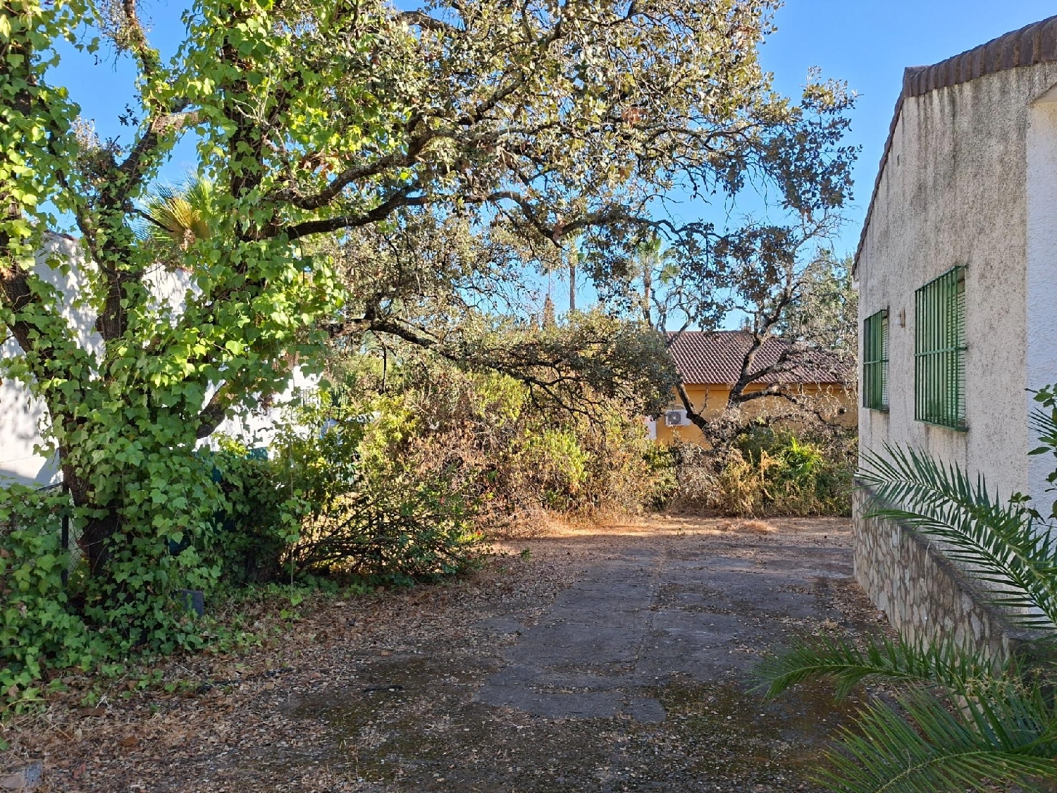  for sale house Guillena Sierra Norte 3